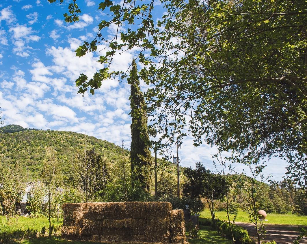 Hacienda Los Lingues Chile Valle De Colchagua Exterior photo